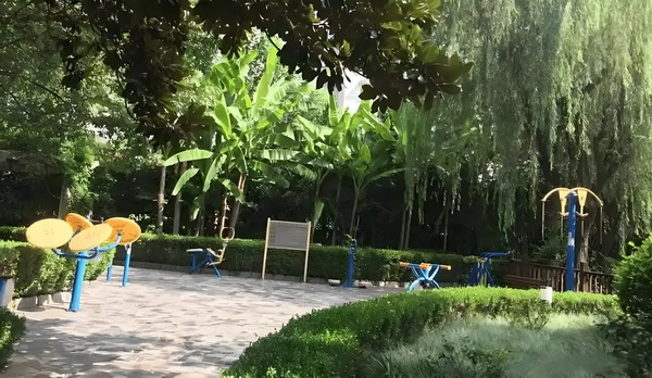 深圳毕业生快速入户_董璇失去的口碑，竟然被自己9岁的女儿挽回了 不够男友邹某在乎自己觉得